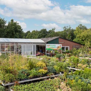 Gärtnerei und unser Blumenladen